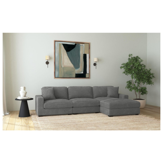 ELEMENTS ARIZONA STENO CHAR 3PC SECT