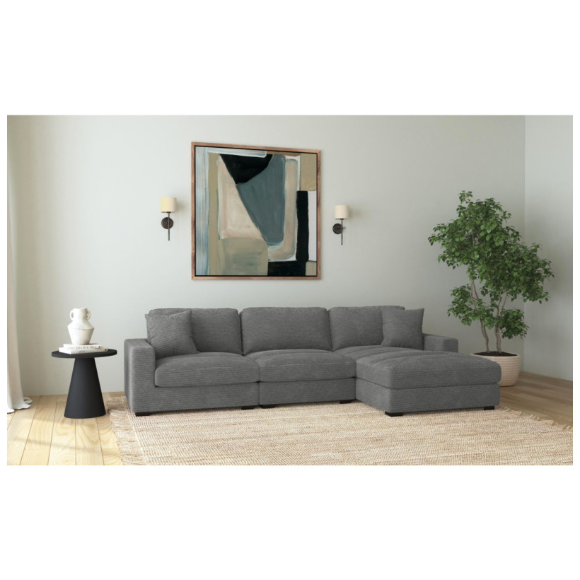 ELEMENTS ARIZONA STENO CHAR 3PC SECT